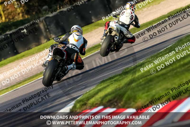 Oulton Park 20th March 2020;PJ Motorsport Photography 2020;anglesey;brands hatch;cadwell park;croft;donington park;enduro digital images;event digital images;eventdigitalimages;mallory;no limits;oulton park;peter wileman photography;racing digital images;silverstone;snetterton;trackday digital images;trackday photos;vmcc banbury run;welsh 2 day enduro